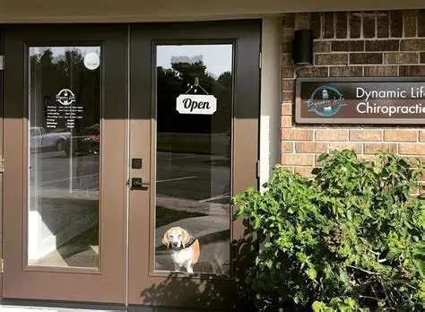 Dynamic Life Chiropractic welcoming front desk and staff
